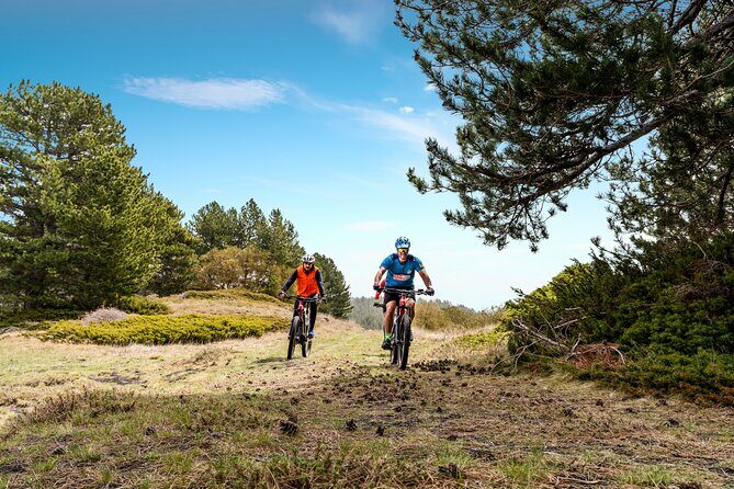 Etna in MTB Half day small group - Who Will Enjoy This Tour?
