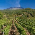 Etna panoramic private tour+Wine taste&food combination(AMAZING) - FAQ