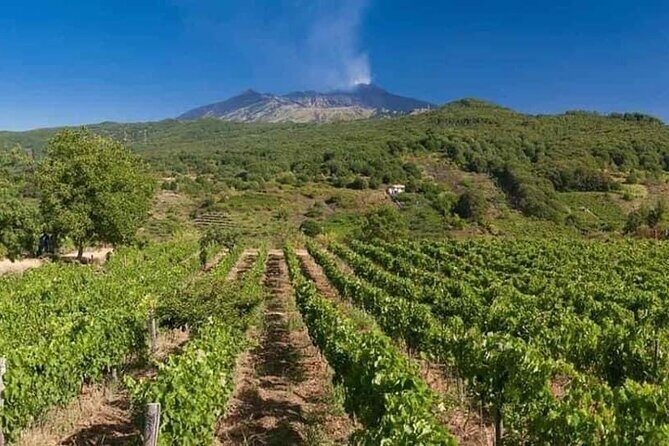 Etna panoramic private tour+Wine taste&food combination(AMAZING) - FAQ