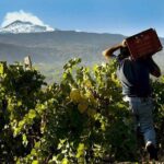 Etna Private tour from Messina Cruise Terminal + Lunch at Winery - FAQ