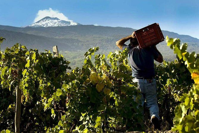 Etna Private tour from Messina Cruise Terminal + Lunch at Winery - FAQ