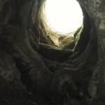 Etna private tour with wine cellar gambino lunch and wine tasting - Overall Impressions and Practicalities
