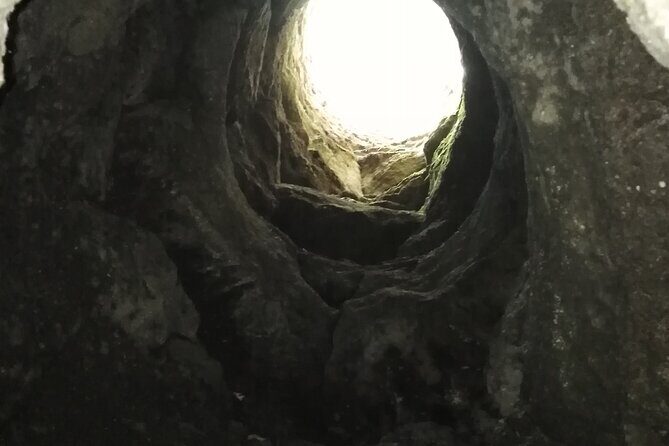 Etna private tour with wine cellar gambino lunch and wine tasting - Overall Impressions and Practicalities