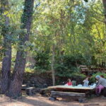 Etna & Sea: Pic Nic in Batia - Who Should Consider This Experience?