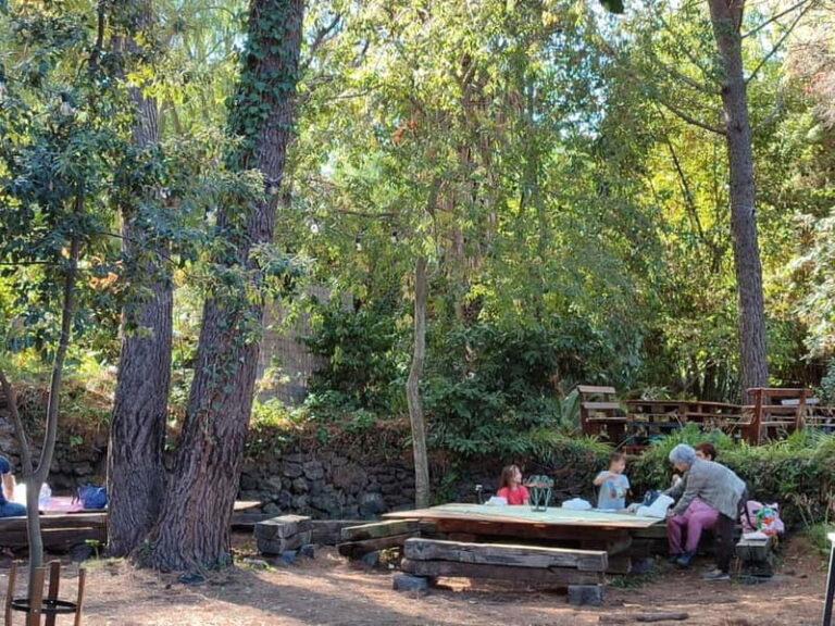 Etna & Sea: Pic Nic in Batia - Who Should Consider This Experience?