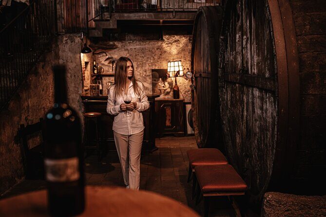 Etna Urban Winery - Tasting with Street Food Platter and vineyard - Who Will Enjoy This Tour?