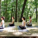 Etna Volcanic Yoga and Meditation - Private Experience - Exploring the Experience in Detail