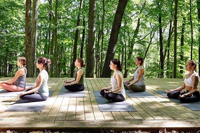 Etna Volcanic Yoga and Meditation - Private Experience - Exploring the Experience in Detail