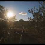 Etna Volcanic Yoga and Meditation Weekend (Private Experience) - FAQ