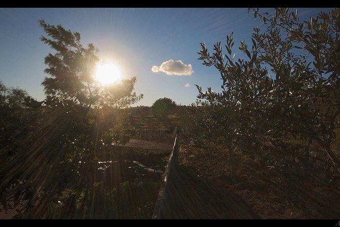Etna Volcanic Yoga and Meditation Weekend (Private Experience) - FAQ