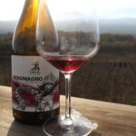 Etna Wine and Alcantara - Why This Tour Stands Out