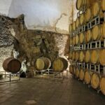 Etna Wine And Taormina From Messina - What Makes This Tour Valuable?