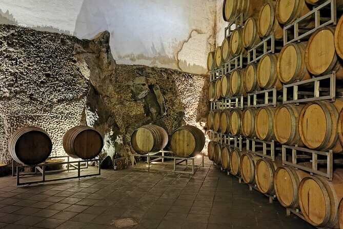 Etna Wine And Taormina From Messina - What Makes This Tour Valuable?