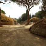 Etruscan Tarquinia and Cerveteri from Rome - What to Expect in Terms of Value
