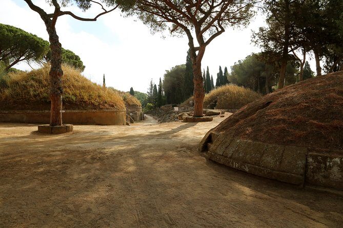 Etruscan Tarquinia and Cerveteri from Rome - What to Expect in Terms of Value