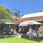 Eumundi Markets and Noosa Everglades Tour with Eco Safari - A Deep Dive into the Sunshine Coast Tour Experience