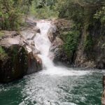 Eungella Platypus Tour - What We Love About This Tour