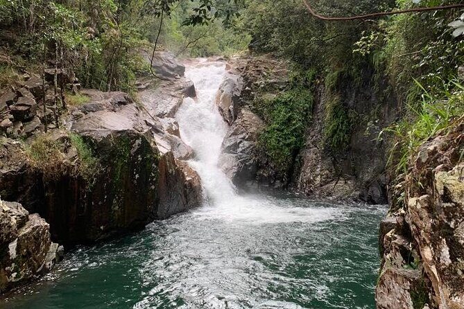 Eungella Platypus Tour - What We Love About This Tour