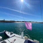 Evening 2-hour cruise in Lorient harbor - An Honest Look at the Experience