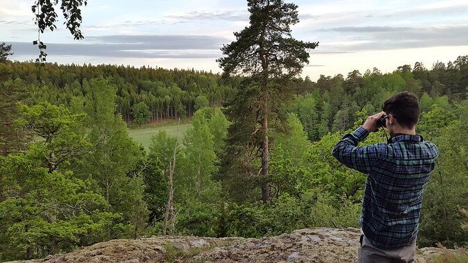 Evening Wildlife Safari Stockholm - Final Thoughts