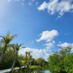 Everglades: boat tour with transportation& entrance included - What’s Included and What’s Not