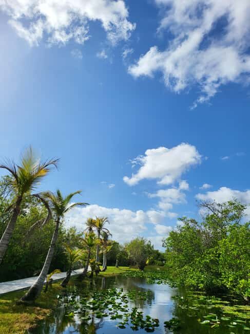 Everglades: boat tour with transportation& entrance included - What’s Included and What’s Not