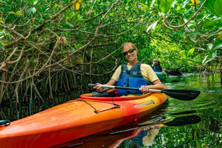 Everglades City: Guided Kayaking Tour and Airboat Ride - Who Will Love This Tour?