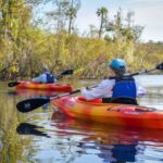 Everglades City: Guided Kayaking Tour of the Wetlands - The Sum Up: Who Is This Tour Best For?