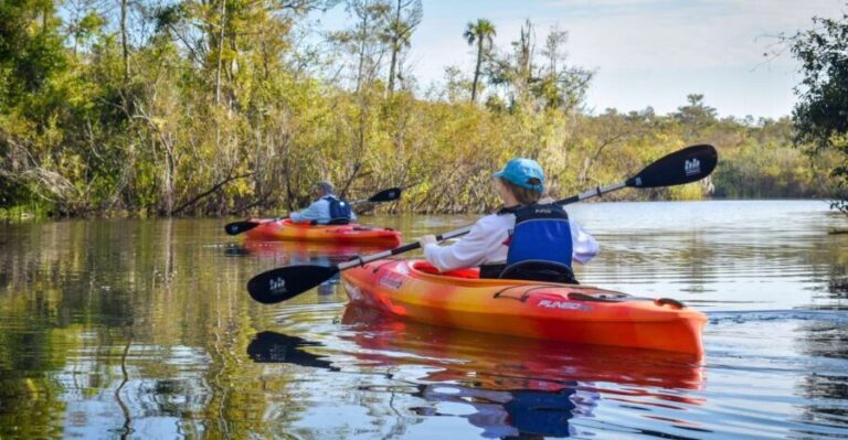 Everglades City: Guided Kayaking Tour of the Wetlands - The Sum Up: Who Is This Tour Best For?