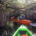 Everglades Kayak Safari Adventure Through Mangrove Tunnels - Wildlife Encounters and Naturalist Insights