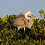 Everglades National Park 3-Hour Kayak Eco Tour - Final Thoughts