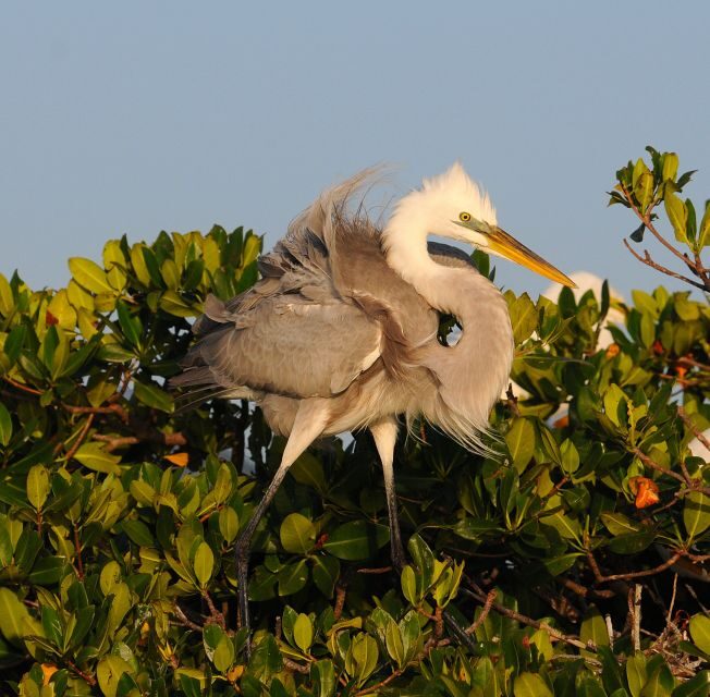 Everglades National Park 3-Hour Kayak Eco Tour - Final Thoughts
