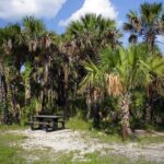 Everglades National Park Biologist Led Adventure: Cruise, Hike + Airboat - A Deep Dive into the Everglades Adventure