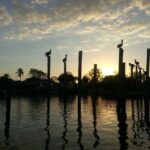 Everglades National Park: Motorboat Eco Tour - The Sum Up: Who Is This Tour For?