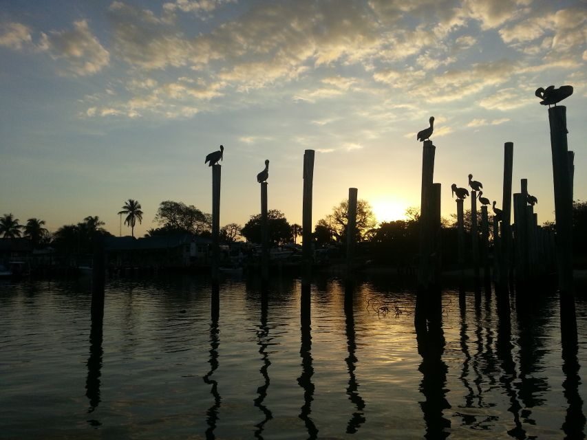 Everglades National Park: Motorboat Eco Tour - The Sum Up: Who Is This Tour For?