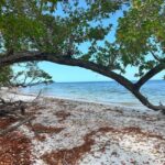 Everglades Pirate and Beach Adventure - Who Will Appreciate This Tour?