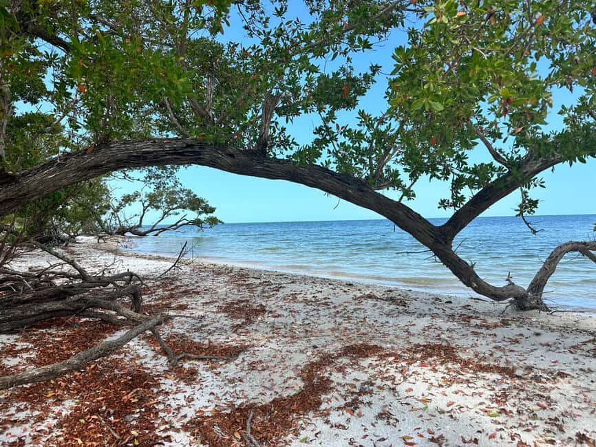Everglades Pirate and Beach Adventure - Who Will Appreciate This Tour?