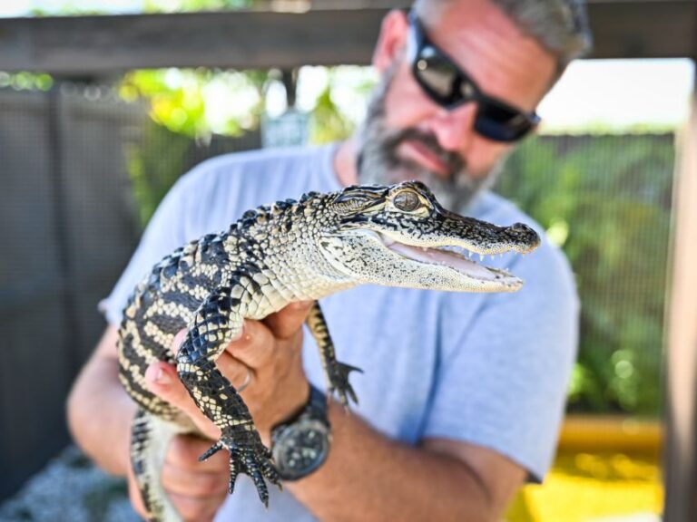Everglades: Sawgrass Park Day Time Airboat Tour & Exhibits - Final Thoughts