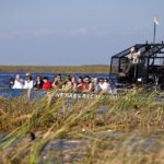 Everglades Small Group Express from Fort Lauderdale +Airboat Ride - Final Recommendations