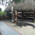 Everglades Tour from Miami with Transportation - FAQ