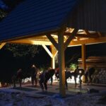 Everyday Yoga Class, Soa (Bovec) - Why This Yoga Class Is Worth Considering