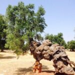 EVO Oil Tasting in Masseria in Ostuni - Final Thoughts
