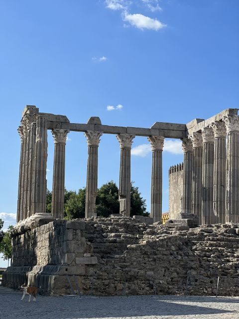 Évora: Ancient Roman Temple & Kings Christ Tour - A Deep Dive into the Évora Tour Experience