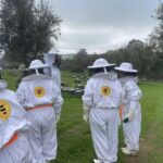 Évora or Montemor: Beekeeping, Chocolate factory, Wine tasting - The Practical Aspects and Value