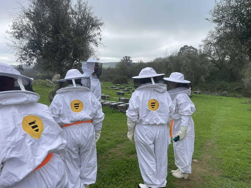 Évora or Montemor: Beekeeping, Chocolate factory, Wine tasting - The Practical Aspects and Value