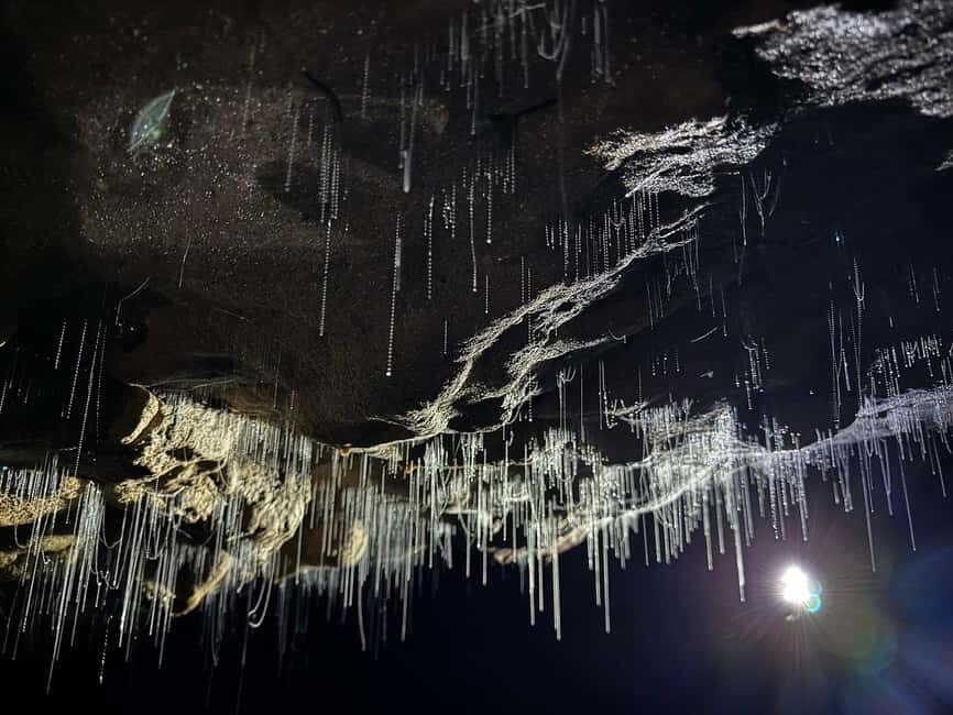 Ex Auckland Spellbound Glowworm & Cave Explorer Private Tour - Final Thoughts: Is This Tour Worth It?