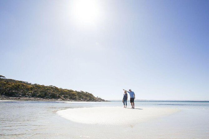 Exceptional Port Lincoln, Seafood and Wildlife Tour - The Sum Up