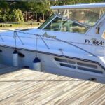 Exceptional whale watching in a Tahiti Yacht - FAQ