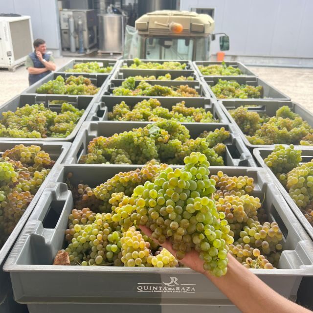 Exclusive 5-wine tasting - A Closer Look at the Experience
