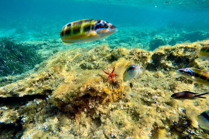 Exclusive boat tour max 9 people tropea capo vatican - Who is This Tour Best Suited For?